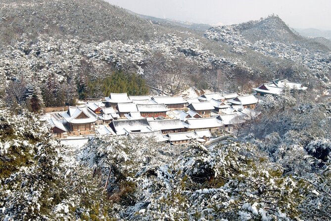 Private Tongdosa Temple Tour Including Gourmet Eonyang Style Bulgogi Lunch - Pricing and Cancellation Policies