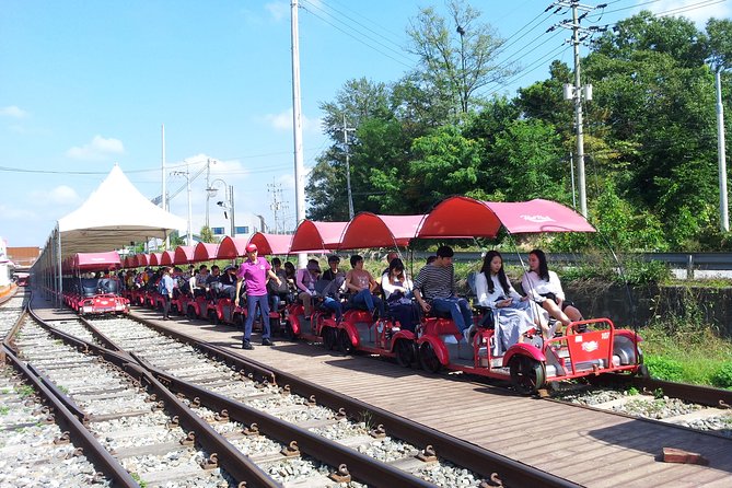 Private Tour Rail Bike & Nami Island & (Petite France or Garden of Morning Calm) - What to Expect on Tour