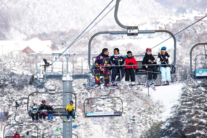 Private Transfer - Seoul ⇔ Alpensia / Yongpyong Ski Resort - What to Expect