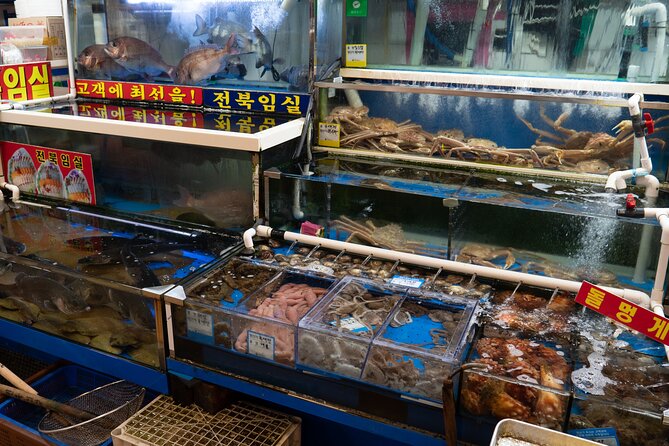 Seoul : the Biggest Sea-Food Noryangjin Market Gastroventure Tour - Traditional Fish Auction Experience