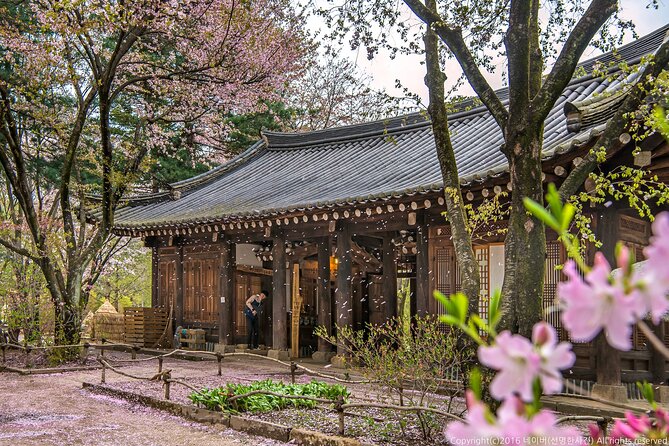 Seoul to Nami Island Round Trip Shuttle Bus Service - Booking and Pricing Details