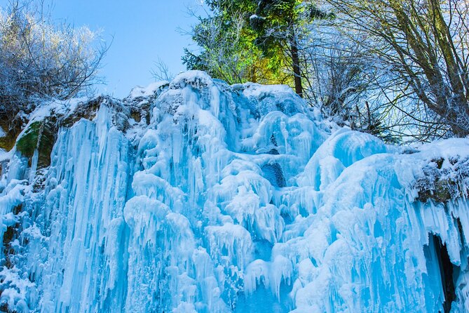 Strawberry & Eobi Valley Tour With Nami Island or Sled Option - Tour Logistics and Operations