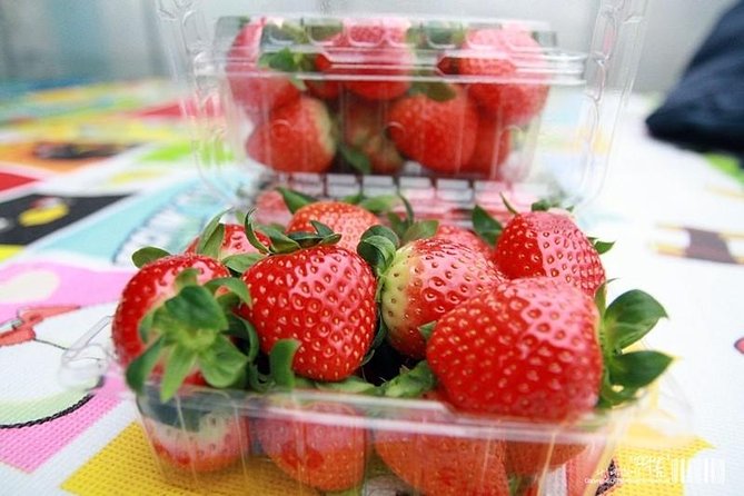 Strawberry Picking+Jam Making+Nami Island+Garden of Morning Calm Lighting Fest - Experience the Best of Seouls Countryside