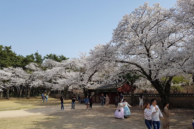 2 Days Gyeongju Private Tour From Seoul and Near Seoul - Booking and Confirmation Process