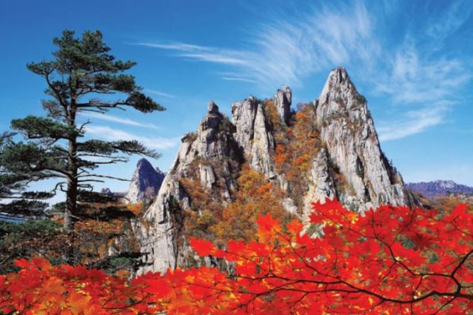 Autumn 8 Days South Korea Tour Including Jeonju,Damyang,Mt.Naejangsan - Experience Inclusions and Exclusions