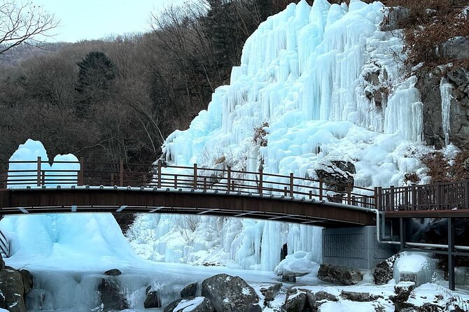 Eobi Ice Valley & Nami Island & Garden of Morning Calm Lighting Festival [Seoul] - Lighting Festival at Garden of Morning Calm