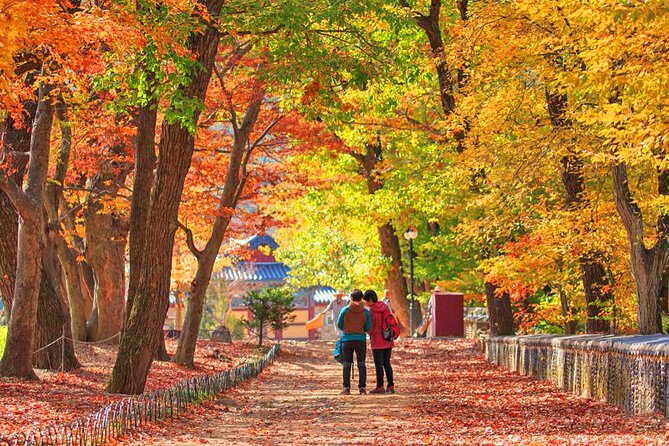 Full-Day Autumn Tour to Unmunsa Bhikkhuni Temple - Preparing for the Tour