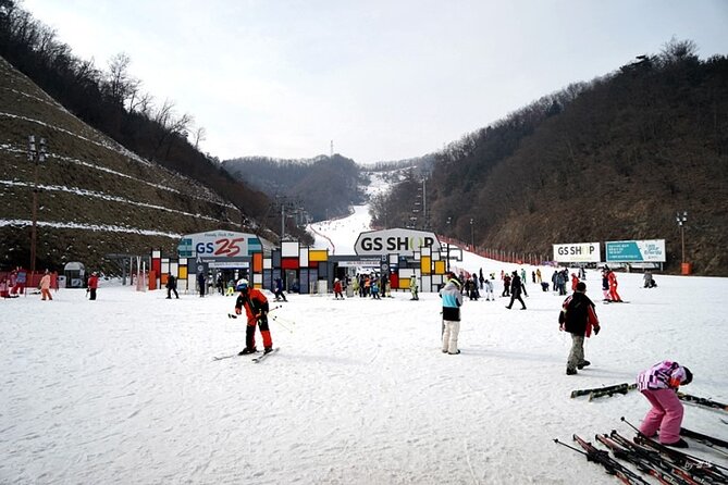 Full Day Private Tour Nami Island & Gangchon Elysian Ski - Whats Not Included in Tour