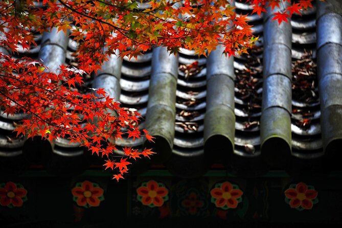 Gyeongju Maple Tour From Busan - Enjoying the Maple Season