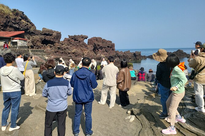 Half or Day Tour for Cruise Customers Arriving at Gangjeong Port - Tour Inclusions and Options