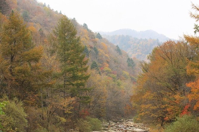 Odaesan National Park Hiking Day Tour: Explore Autumn Foliage Korea - Autumn Foliage Hiking Experience