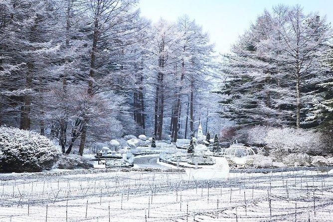 One Day Private Tour-Nami Island, Petite and Garden of Morning Calm(Incl. Lunch) - Experience and Memories