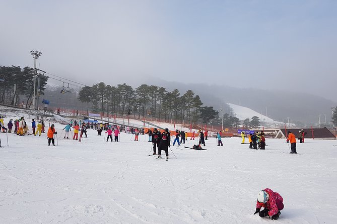 PRIVATE SKI TOUR in Pyeongchang Olympic Ski Resort(More Members Less Cost) - Booking and Reservation Process