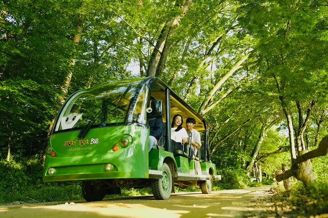 Seoul to Nami Island Round Trip Shuttle Bus Service - What to Expect on Tour