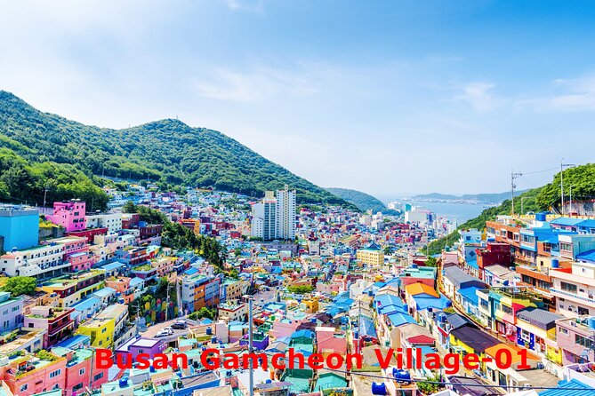 Sparkling of Korea 8days 7nights Temple Stay and KTX Train - Cancellation and Refund Policy