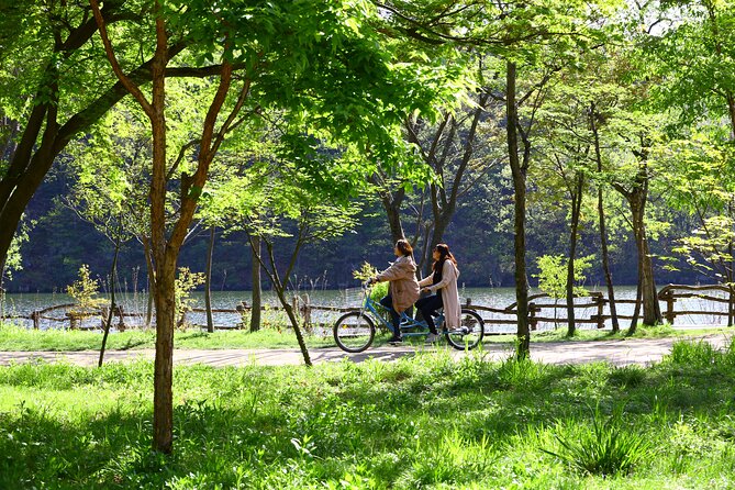 Seoul to Nami Island Round Trip Shuttle Bus Service - Why Choose This Service