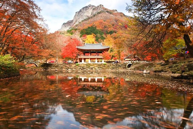 Classic Naejangsan National Park One Day Tour (Autumn Limited） - Just The Basics