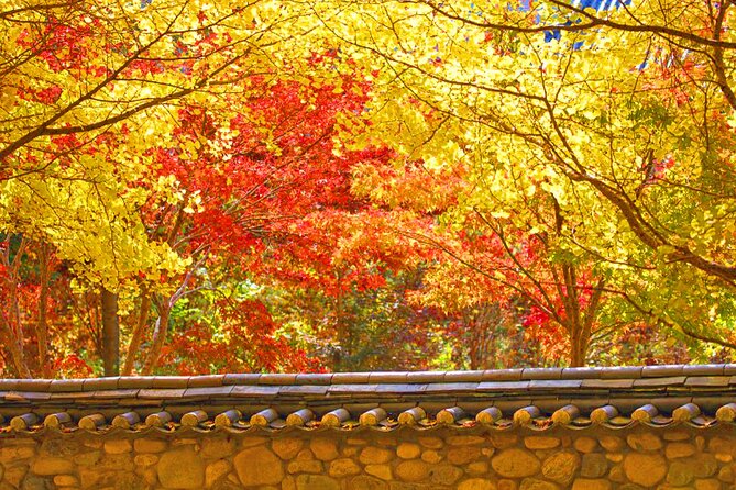 Full-Day Autumn Tour to Unmunsa Bhikkhuni Temple - Just The Basics