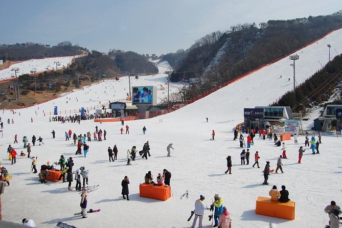 Full-Day Ski Package to Elysian Ski Resort From Seoul - Just The Basics