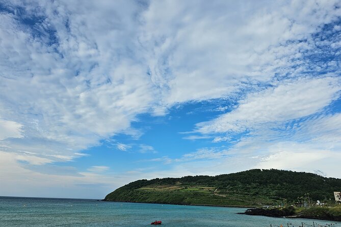 Jeju Taxi Full-Day Tour - Included Morning Sunrise - Just The Basics