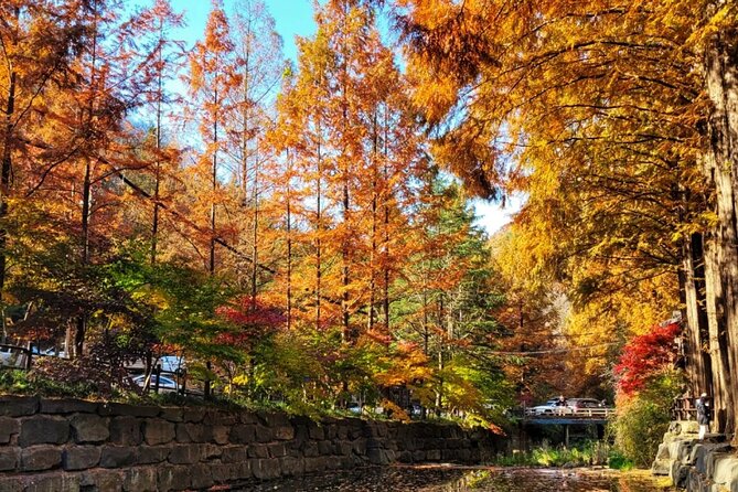 Jeonju Hanok Village and Jangtaesan Nature Tour - Just The Basics