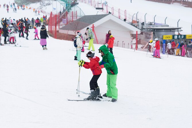 Jisan Forest Ski Resort One Day Tour With Basic Lesson - Just The Basics