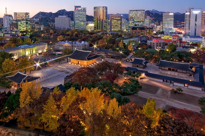 Moonlight Stroll at Seoul Palace - Just The Basics