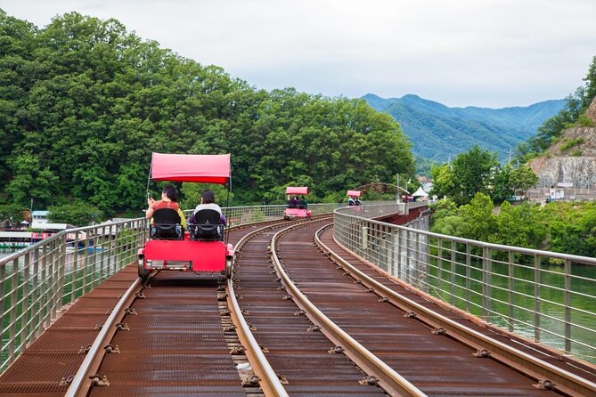 Nami Island & Strawberry Picking and Jam Making & Railbike - Just The Basics