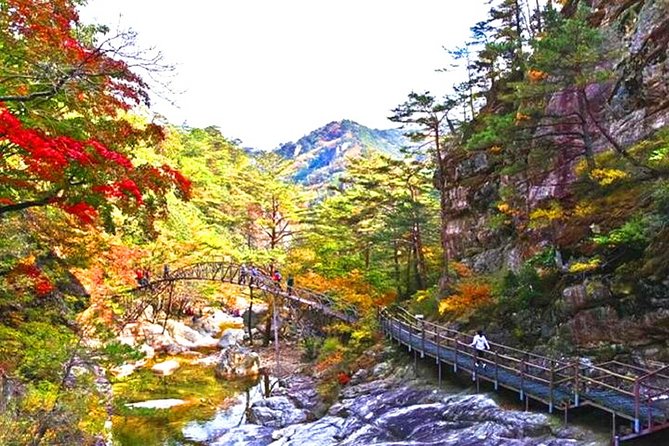 Odaesan National Park Hiking Day Tour: Explore Autumn Foliage Korea - Just The Basics