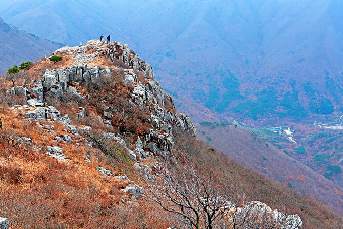 Panoramic Yeongnam Alps Gondola Autumn Foliage Tour From Busan - Just The Basics