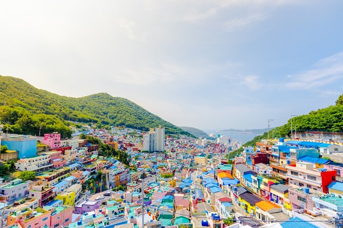 Private 3-Day Tour, Busan Family Pack - Just The Basics