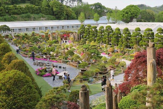 Beartree Park With Admission Ticket to Arboretum in Sejong - Ticket Information and Pricing