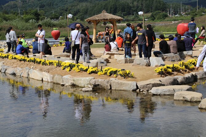 Bongpyeong Buckwheat Flower Festival + Pyeongchang Zinnia Festival