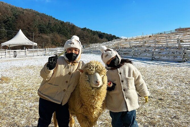 [Cherry Blossom] Seoul to Gyeongju Round Trip