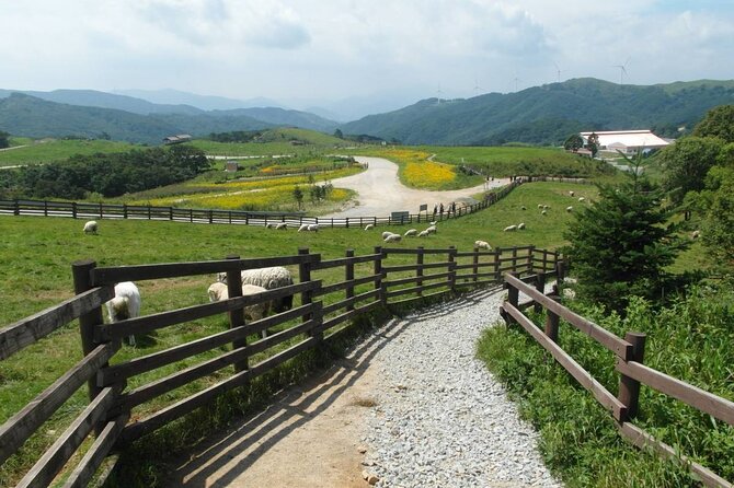 Coffee Festival in Gangneung South Korea