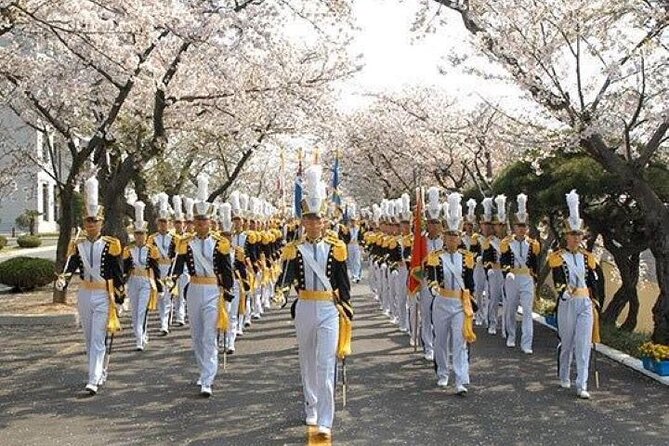 Full-Day Jinhae Cherry Blossom Festival Private Tour