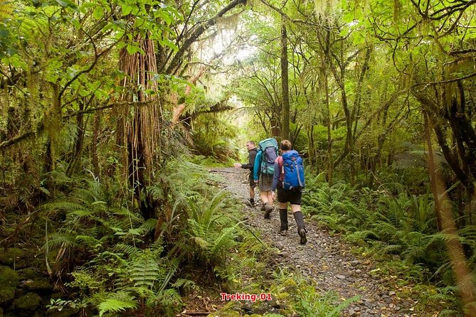 Hiking Trekking & Temple Stay 12days 11nights