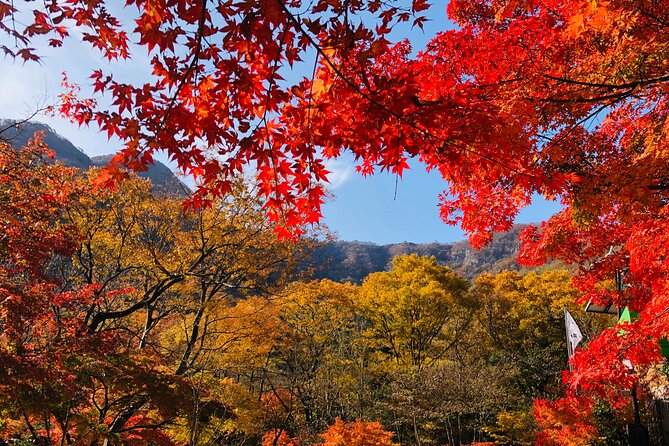 Mt. Naejang Autumn Foliage and Jeonju Hanok Village 1 Day Tour