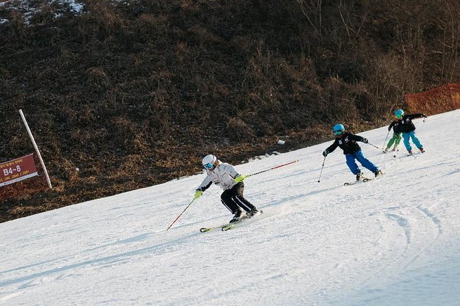 [Private Tour] Nami Island & Ski (Ski Lesson, Equip & Clothing Included)