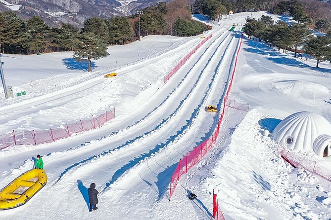 Ski /Taegwondo/Seoul (6D5N) - Tour Overview and Inclusions