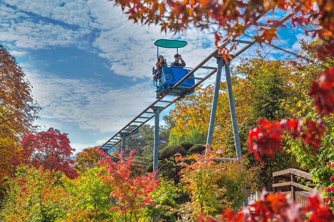 Special Private Tour Nami Island, Rail Bike, Petite France