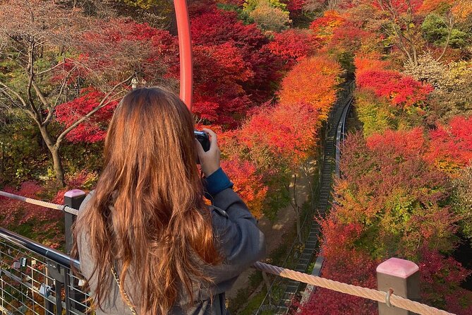 Suwon Hwaseong + Purple Flower(Azalea) + Cherry Blossom