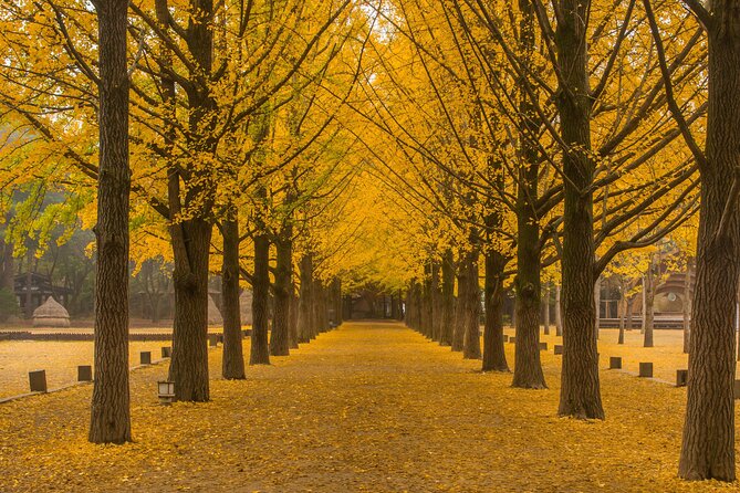 VIP Private Nami Island & Petite France & Garden of Morning Calm