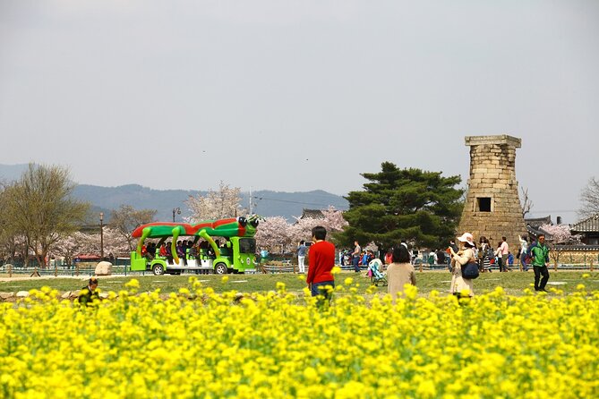 2-Day Rail Tour to Gyeongju and Busan From Seoul - What to Expect in Gyeongju