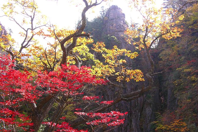 2-days: Mt Seorak, East Sea(Naksansa) & Nami or Ulsanbawi Hiking - Cancellation and Refund Policy