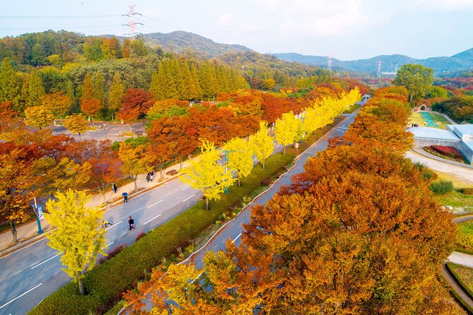 Best View Seoul Autumn Foliage Tour - Meeting and Pickup Options