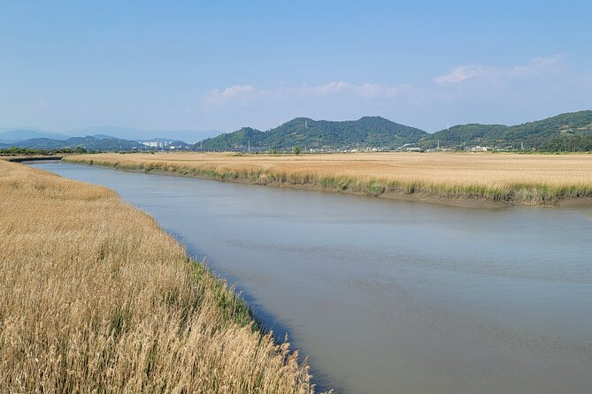 Boseong Tea Plantation & Suncheon National Garden[Train+Bus] - Exploring Boseong Tea Plantation