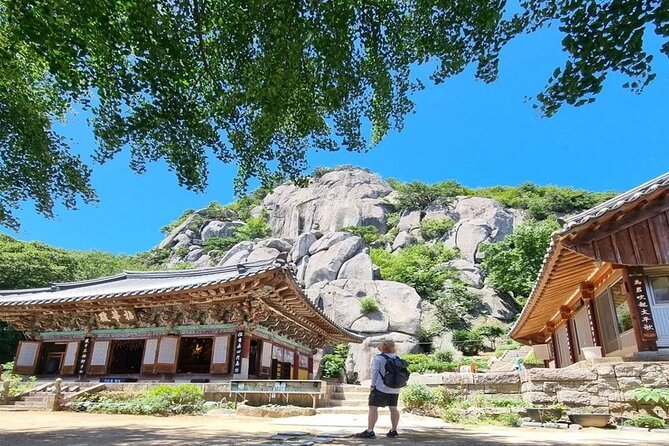 Busan Private Hiking Tour : Panoramic Views Awaits - What to Expect on Tour