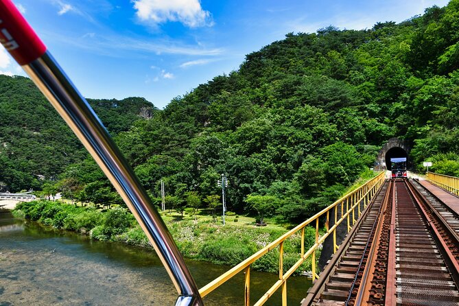 Full Day Strawberry Picking and Rail Bike in Nami Island - Rail Bike Adventure Awaits