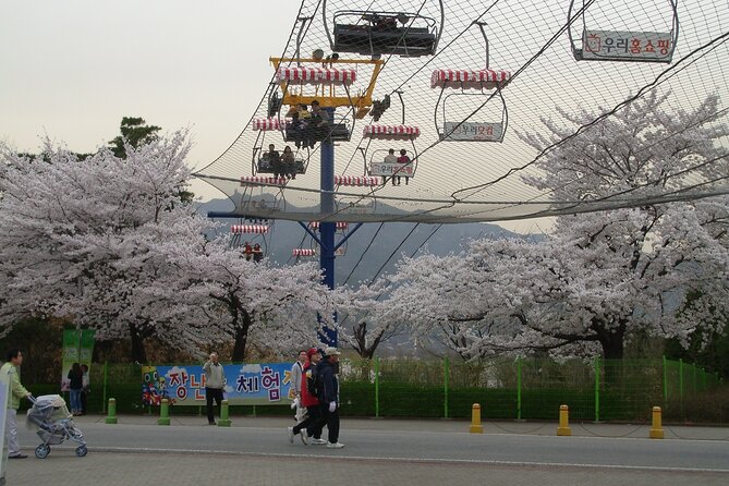 Go City: Seoul Explorer Pass - Choose 3, 4, 5, 6 or 7 Attractions - How the Pass Works